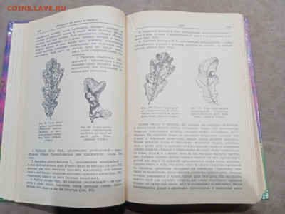 Зоологические экскурсии до 10.03.26 в 22:00 по мск - IMG_20260304_235407