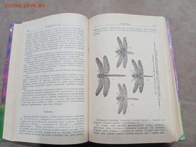Зоологические экскурсии до 10.03.26 в 22:00 по мск - IMG_20260304_235358