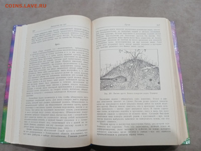 Зоологические экскурсии до 10.03.26 в 22:00 по мск - IMG_20260304_235347