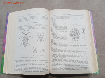 Зоологические экскурсии до 10.03.26 в 22:00 по мск - IMG_20260304_235337