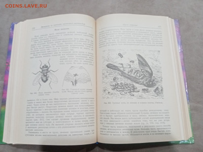 Зоологические экскурсии до 10.03.26 в 22:00 по мск - IMG_20260304_235328