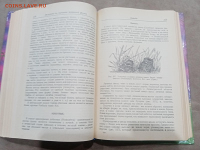 Зоологические экскурсии до 10.03.26 в 22:00 по мск - IMG_20260304_235318