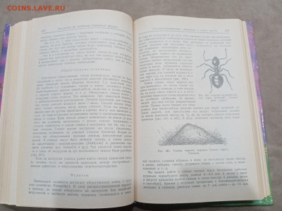 Зоологические экскурсии до 10.03.26 в 22:00 по мск - IMG_20260304_235308