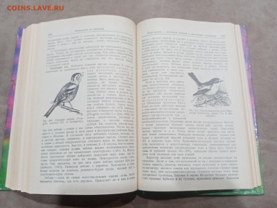Зоологические экскурсии до 10.03.26 в 22:00 по мск - IMG_20260304_235258
