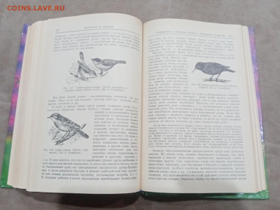 Зоологические экскурсии до 10.03.26 в 22:00 по мск - IMG_20260304_235246