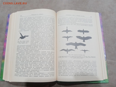 Зоологические экскурсии до 10.03.26 в 22:00 по мск - IMG_20260304_235236