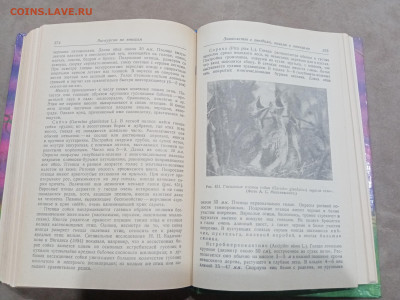 Зоологические экскурсии до 10.03.26 в 22:00 по мск - IMG_20260304_235224