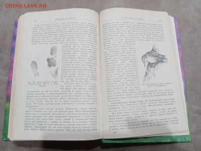 Зоологические экскурсии до 10.03.26 в 22:00 по мск - IMG_20260304_235213