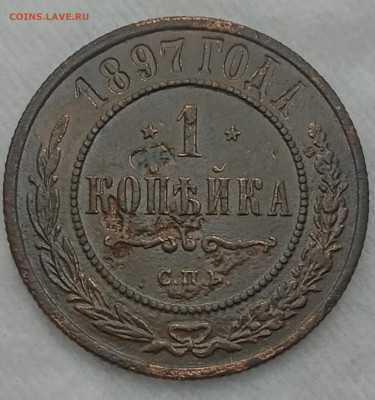 Царская медь - IMG_20260224_170407_725