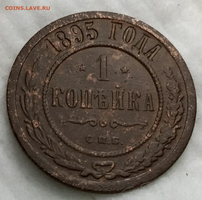 Царская медь - IMG_20260224_192057_994