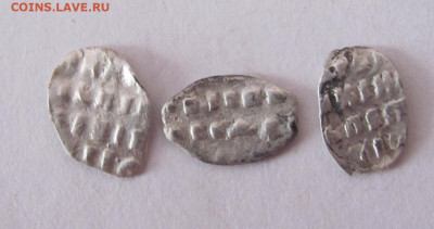 чешуйки - IMG_1823.JPG