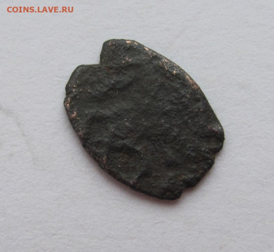 чешуйки - IMG_1806.JPG