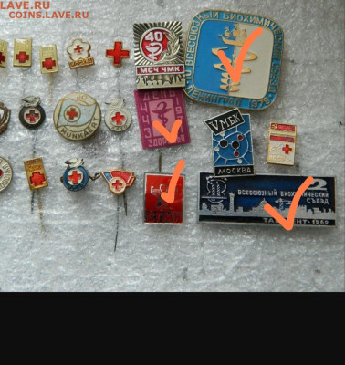 + - Screenshot_2026-03-05-21-50-29-062-edit_com.opera.browser