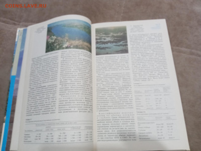 Природа мира. Водохранилища до 11.03.26 в 22.00 по мск - IMG_20260306_020100