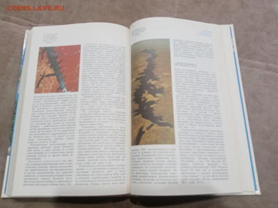 Природа мира. Водохранилища до 11.03.26 в 22.00 по мск - IMG_20260306_015844