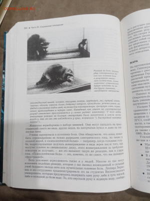 Социальная психология до 11.03.26 в 22.00 по мск - IMG_20260306_021311