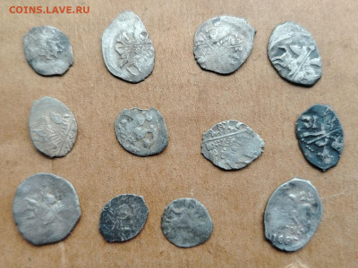 чешуйки на определение - IMG_20260306_125533