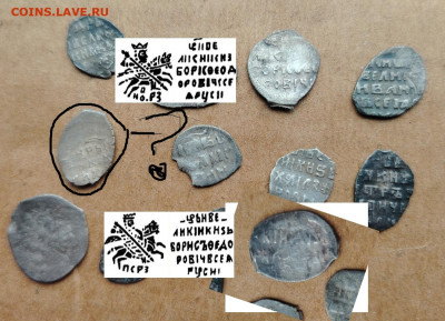 чешуйки на определение - IMG_20260306_125403