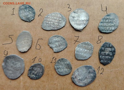 чешуйки на определение - IMG_20260306_125403