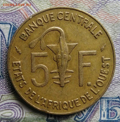 Западная Африка 5 франков 1990 года до 09.03.2026 - IMG_20260305_182605