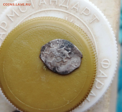 чешуйки на определение - IMG_20260307_122828