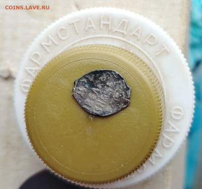 чешуйки на определение - IMG_20260307_122849