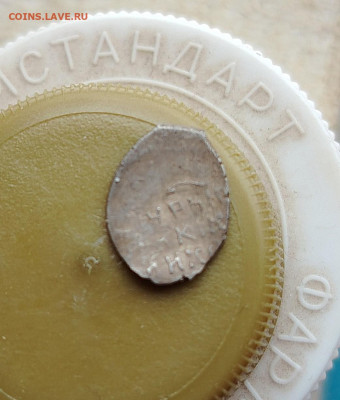 чешуйки на определение - IMG_20260307_122936