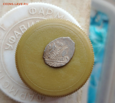 чешуйки на определение - IMG_20260307_123108