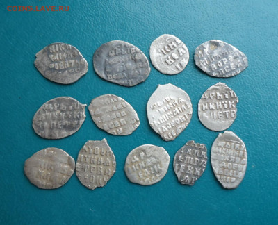 13 чешуек - 0103.JPG