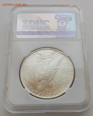 США, 1 доллар 1922 MS62 до 14.03.26 в 22.00. - IMG_20260309_081348