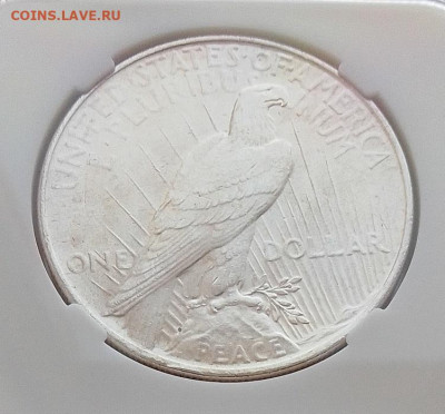 США, 1 доллар 1922 MS62 до 14.03.26 в 22.00. - IMG_20260309_081357