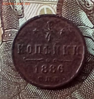 Четвертинки - 6р