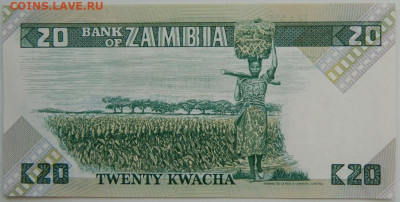Замбия 20 квача 1986 г. С рубля! до 16.03.26 - DSCN2359.JPG