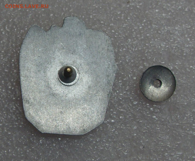 Знак XXX лет Силезской скаутской службе земли до 15.03 22-00 - XXX Силезской скаутской службе земли (1).JPG