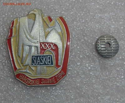 Знак XXX лет Силезской скаутской службе земли до 15.03 22-00 - XXX Силезской скаутской службе земли (0).JPG