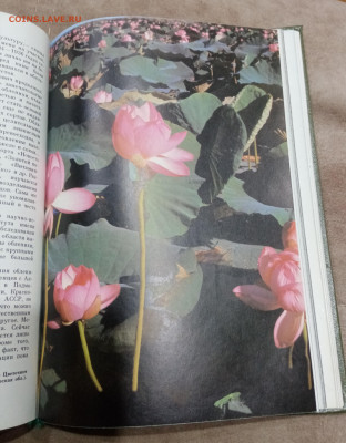 О памятника природы России до 16.03.26 в 22:00 по мск - IMG_20260310_235212