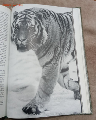 О памятника природы России до 16.03.26 в 22:00 по мск - IMG_20260310_235150