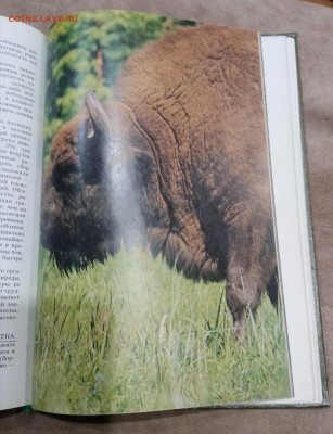 О памятника природы России до 16.03.26 в 22:00 по мск - IMG_20260310_235129
