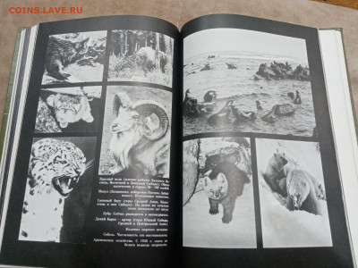 О памятника природы России до 16.03.26 в 22:00 по мск - IMG_20260310_235112