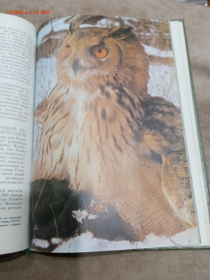 О памятника природы России до 16.03.26 в 22:00 по мск - IMG_20260310_234902