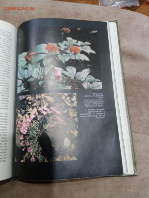 О памятника природы России до 16.03.26 в 22:00 по мск - IMG_20260310_234828