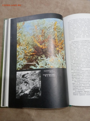 О памятника природы России до 16.03.26 в 22:00 по мск - IMG_20260310_234800