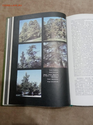 О памятника природы России до 16.03.26 в 22:00 по мск - IMG_20260310_234746