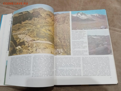 Неспокойный ландшафт до 16.03.26 в 22:00 по мск - IMG_20260311_002421