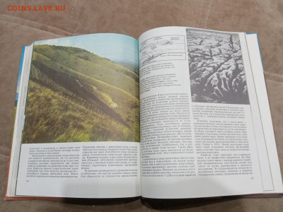 Неспокойный ландшафт до 16.03.26 в 22:00 по мск - IMG_20260311_002235