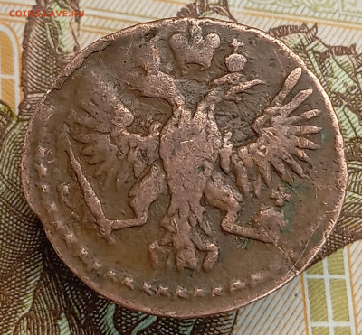 Полушка 1751, домашняя - IMG_20260312_173351