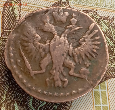 Полушка 1751, домашняя - IMG_20260312_173327