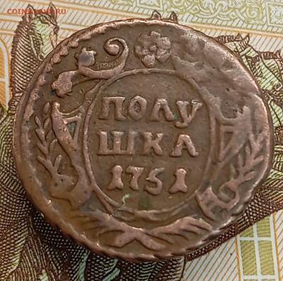 Полушка 1751, домашняя - IMG_20260312_173259