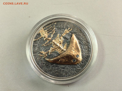 Монголия 500туг 2020 Эволюция жизни Диплокаулус Ag999, до 19 - Ю Эволюция 2020 Диплокаус-2