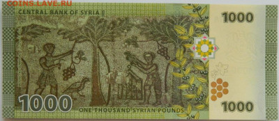 Сирия 1000 фунтов 2013 г. С рубля!  до 18.03.26 - DSCN2510.JPG